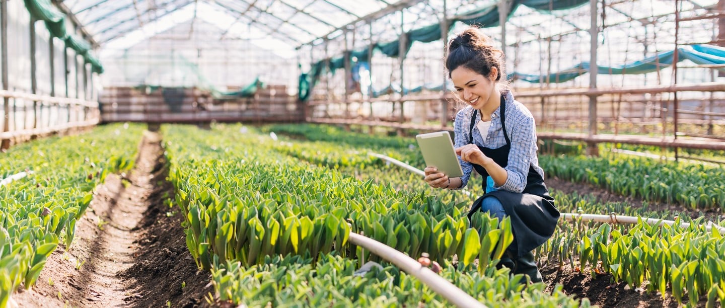 woman doing research in greenhouse
